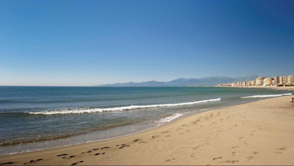 Aquarium * Canet